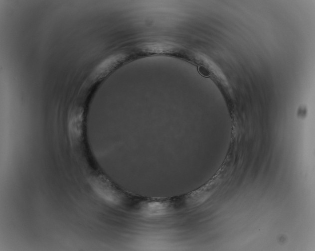 X0000101420163200808041136
