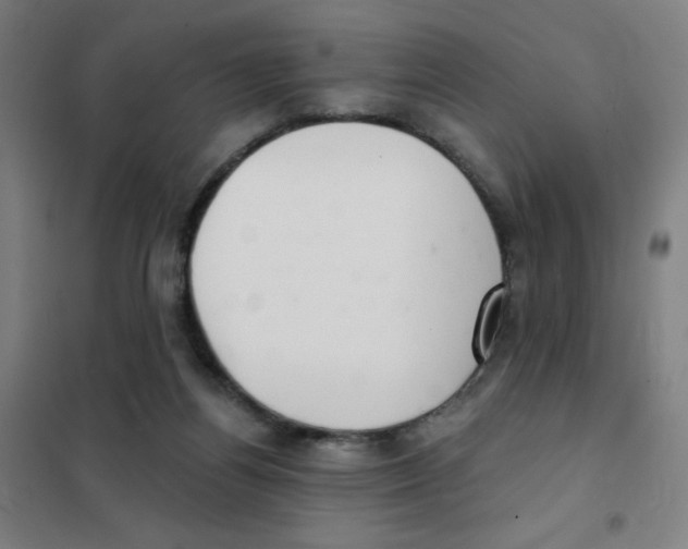 X0000101420164200808041136