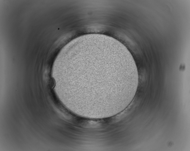 X0000101420166200808041136