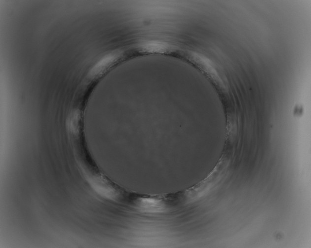 X0000101420167200808041136