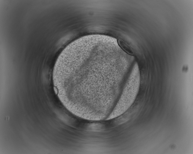 X0000101420168200808041136