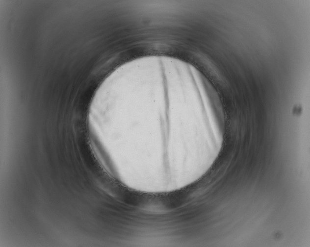 X0000101420169200808041136
