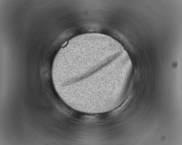 X0000101420170200808041136