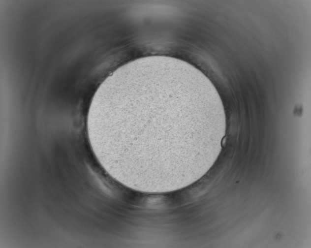 X0000101420173200808041136