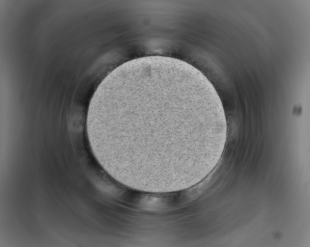 X0000101420174200808041136