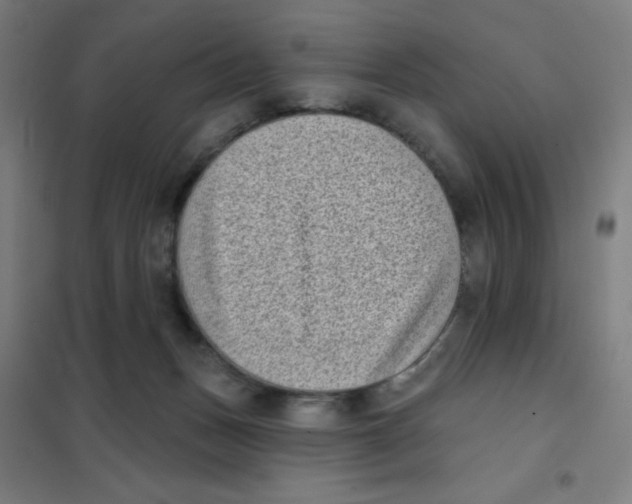 X0000101420175200808041136