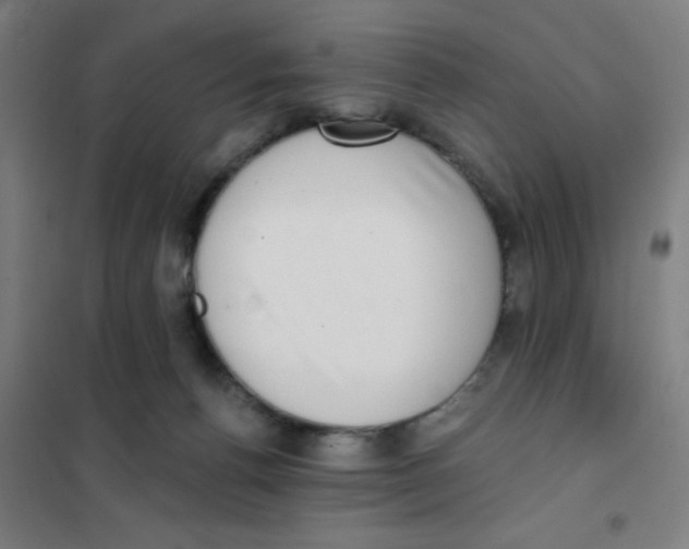 X0000101420176200808041136