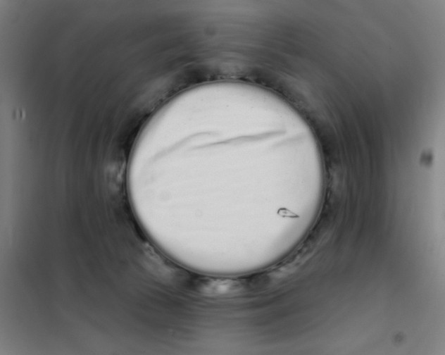 X0000101420177200808041136