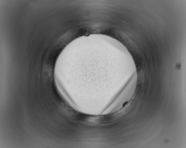 X0000101420178200808041136