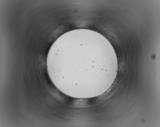 X0000101420179200808041136