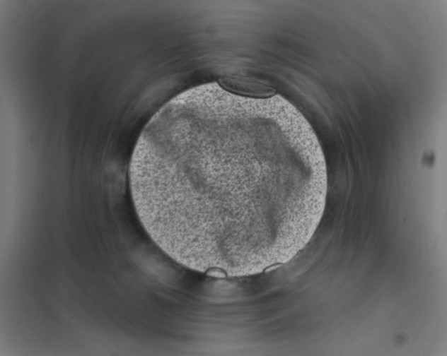 X0000101420180200808041136