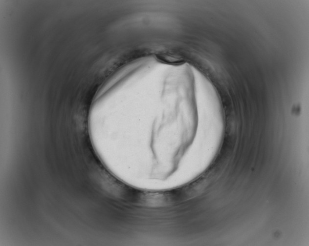 X0000101420181200808041136