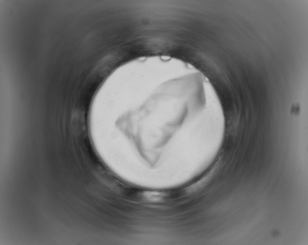 X0000101420182200808041136