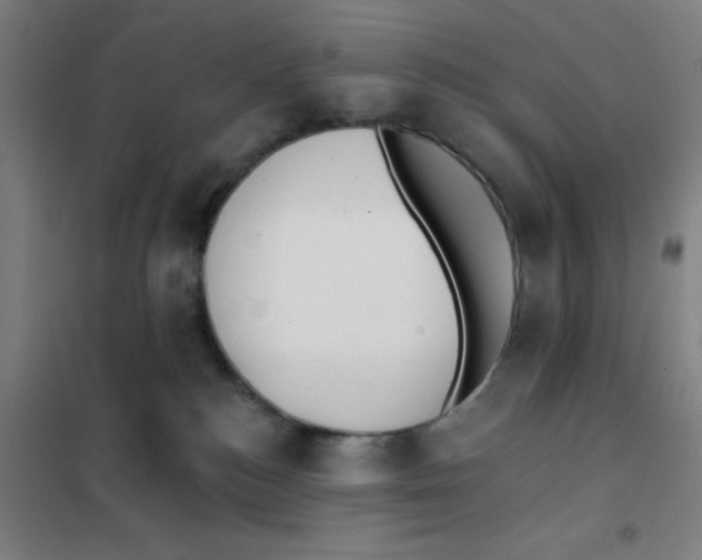 X0000101420184200808041136