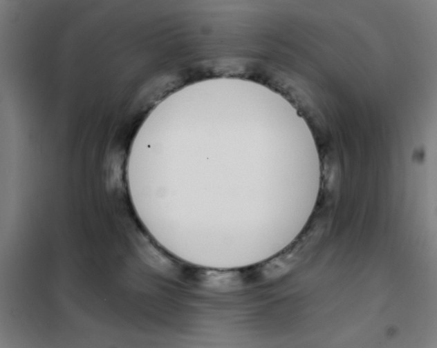 X0000101420185200808041137