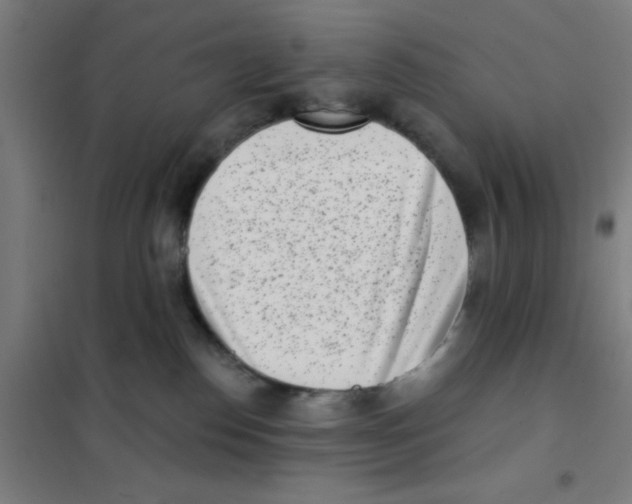 X0000101420186200808041137
