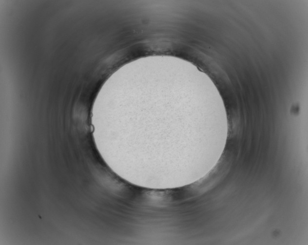 X0000101420187200808041137