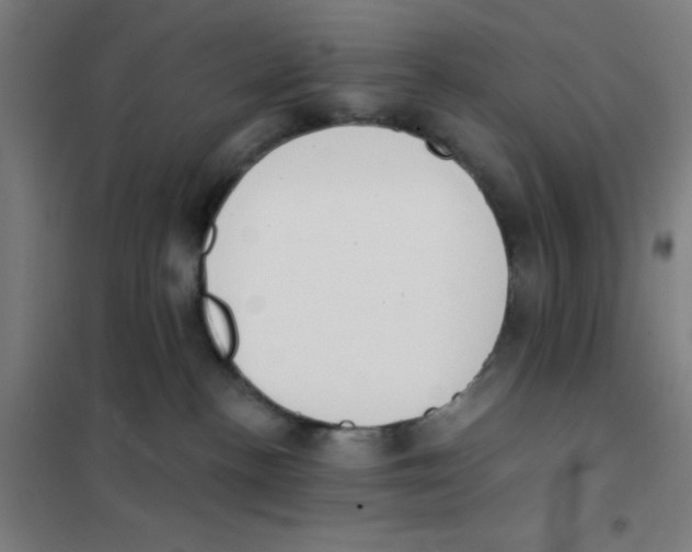 X0000101420188200808041137