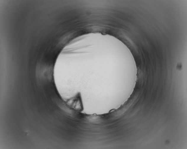X0000101420189200808041137