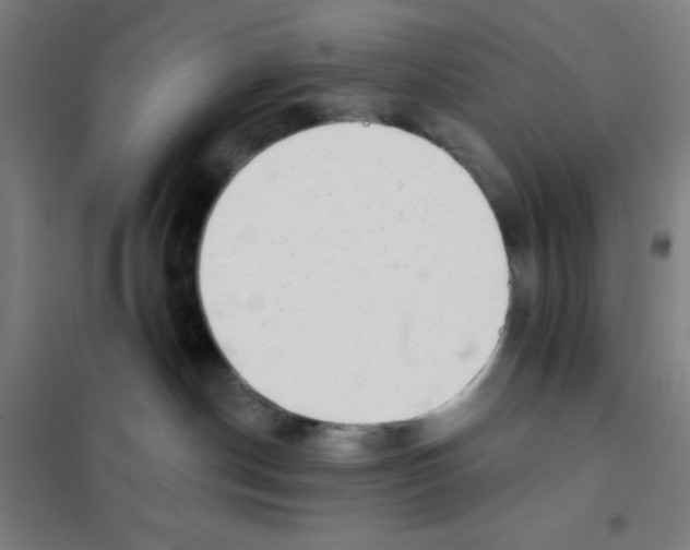 X0000101420190200808041137