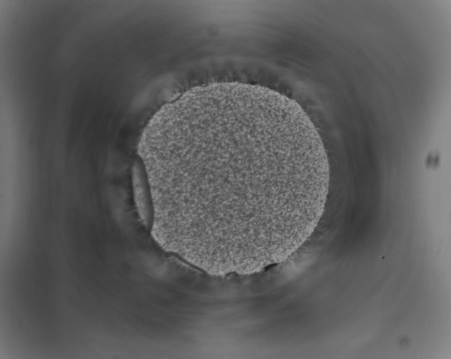 X0000101420192200808041137