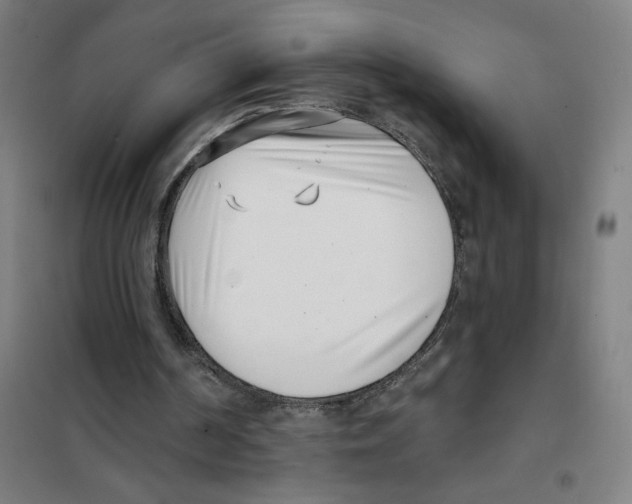 X0000101420194200808041136