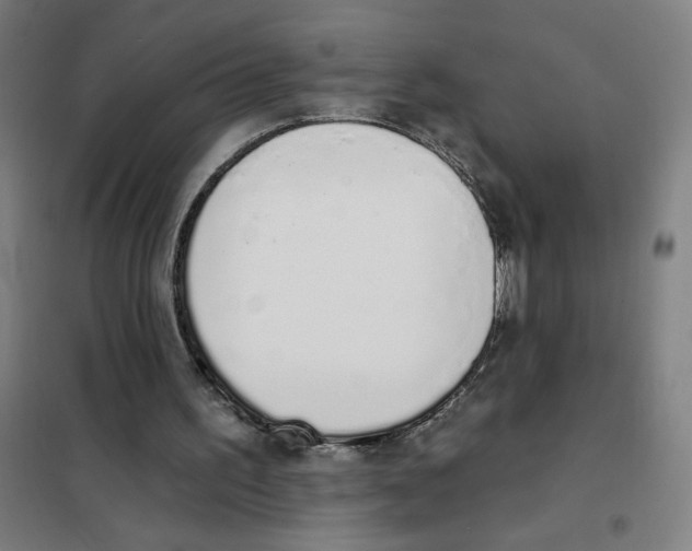 X0000101420195200808041136