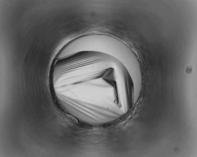 X0000101420196200808041136
