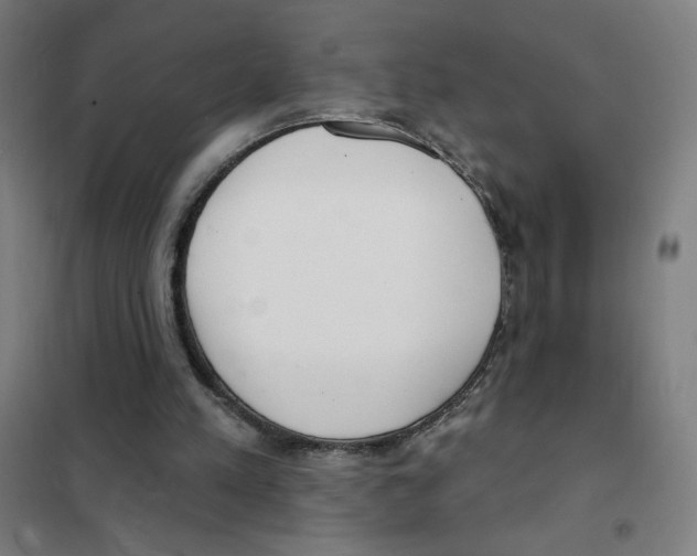 X0000101420197200808041136