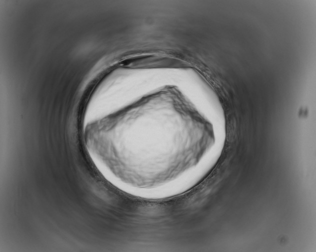 X0000101420198200808041136