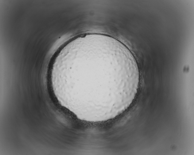 X0000101420199200808041136