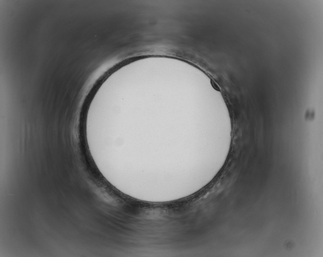 X0000101420200200808041136