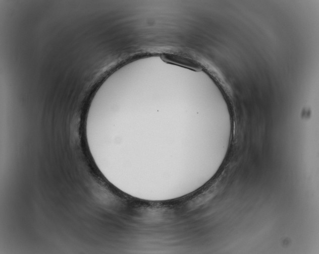 X0000101420201200808041136