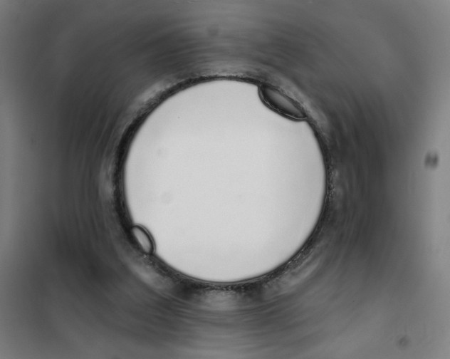 X0000101420203200808041136