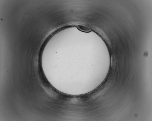 X0000101420204200808041136
