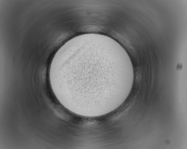 X0000101420206200808041136