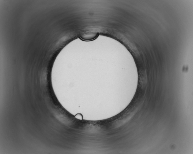 X0000101420207200808041136