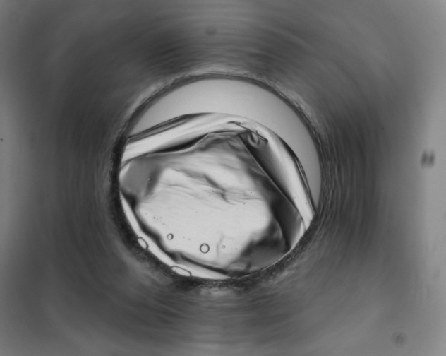 X0000101420208200808041136