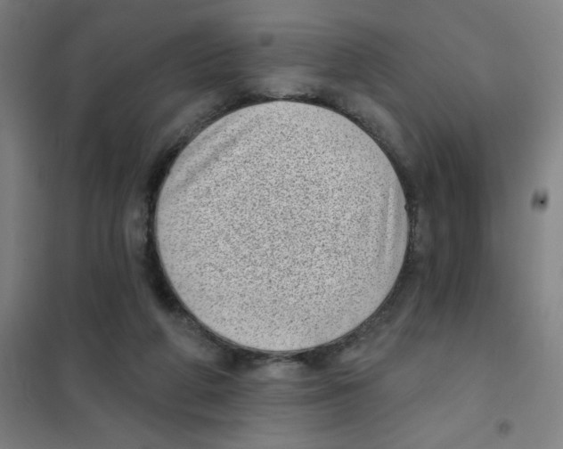 X0000101420210200808041136
