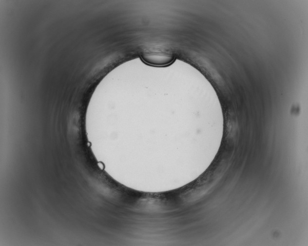 X0000101420211200808041136