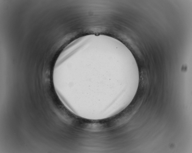 X0000101420212200808041136