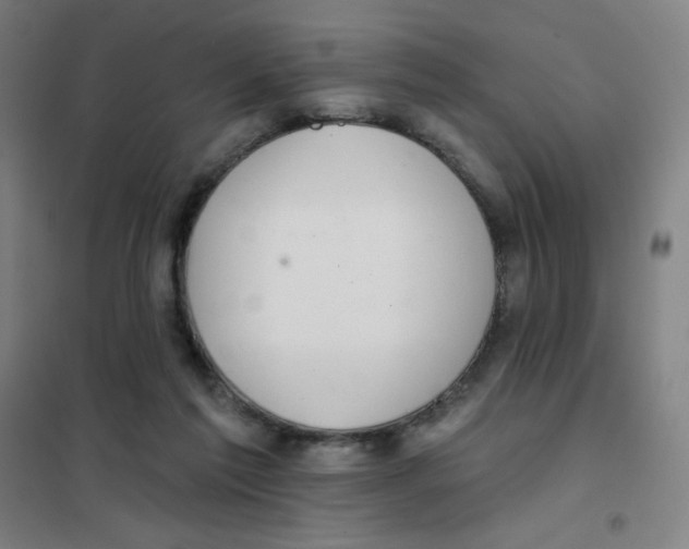 X0000101420213200808041136