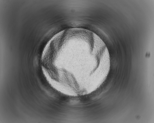 X0000101420214200808041136
