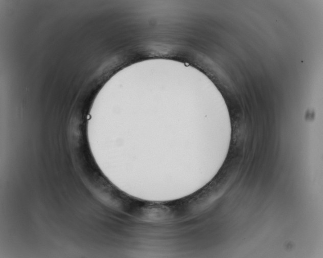 X0000101420215200808041136
