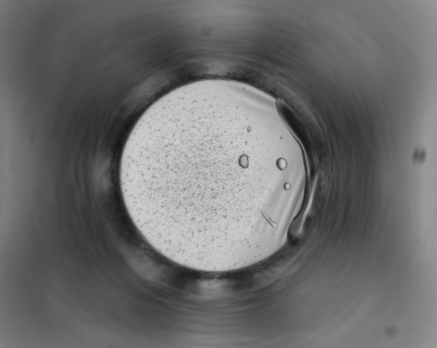 X0000101420216200808041136