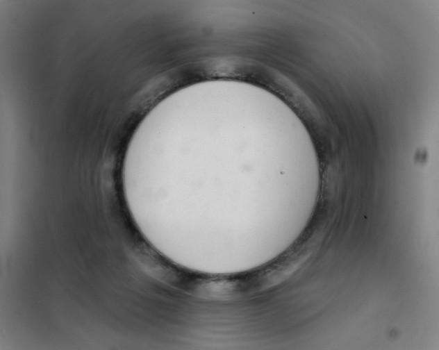 X0000101420217200808041136