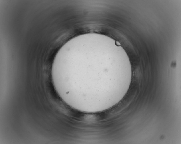 X0000101420218200808041136
