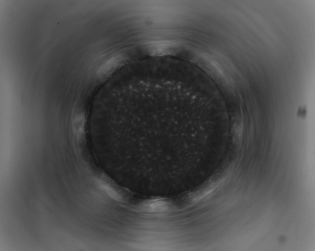 X0000101420219200808041136