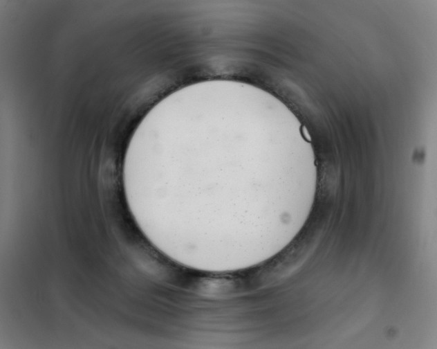 X0000101420220200808041136