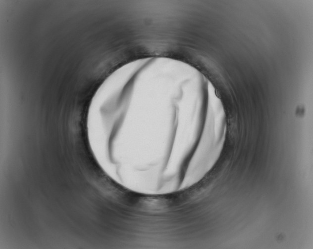 X0000101420221200808041136